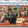 Παζλ 500 Ravensburger Μαύρο Λαμπραντορ (16591) 1 Παζλ 500 Ravensburger Μαύρο Λαμπραντορ (16591) -Παζλ - Puzzle Κατάστημα 200363