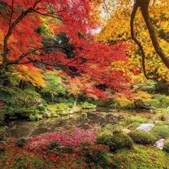 Παζλ 1500 High Quality Clementoni Φθινοπωρινό Πάρκο (1220-31820) -Παζλ - Puzzle Κατάστημα 203298 1