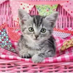 Παζλ 100xxl Ravensburger Γλυκό Γατάκι (12985) -Παζλ - Puzzle Κατάστημα 212303 2