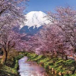 Παζλ 1000 Κομματιων Clementoni High Quality Βουνο Fuji (1220-39418) -Παζλ - Puzzle Κατάστημα 677172 1