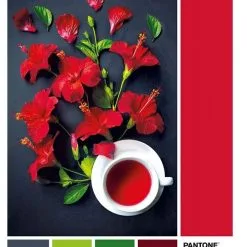 Clementoni Παζλ 1000 Pantone Peacock Blue (1260-39494) -Παζλ - Puzzle Κατάστημα 684698 1