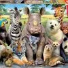 Παζλ 1000 Educa Ζωα Της Ζουγκλας (15517)