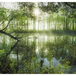 Παζλ 1000 Schmidt Homeland Jungle (300980) -Παζλ - Puzzle Κατάστημα 688710 1