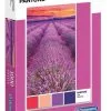 Παζλ Clementoni 1000 Κομμάτια Pantone Μωβ Βιόλες (1260-39493) -Παζλ - Puzzle Κατάστημα 688907